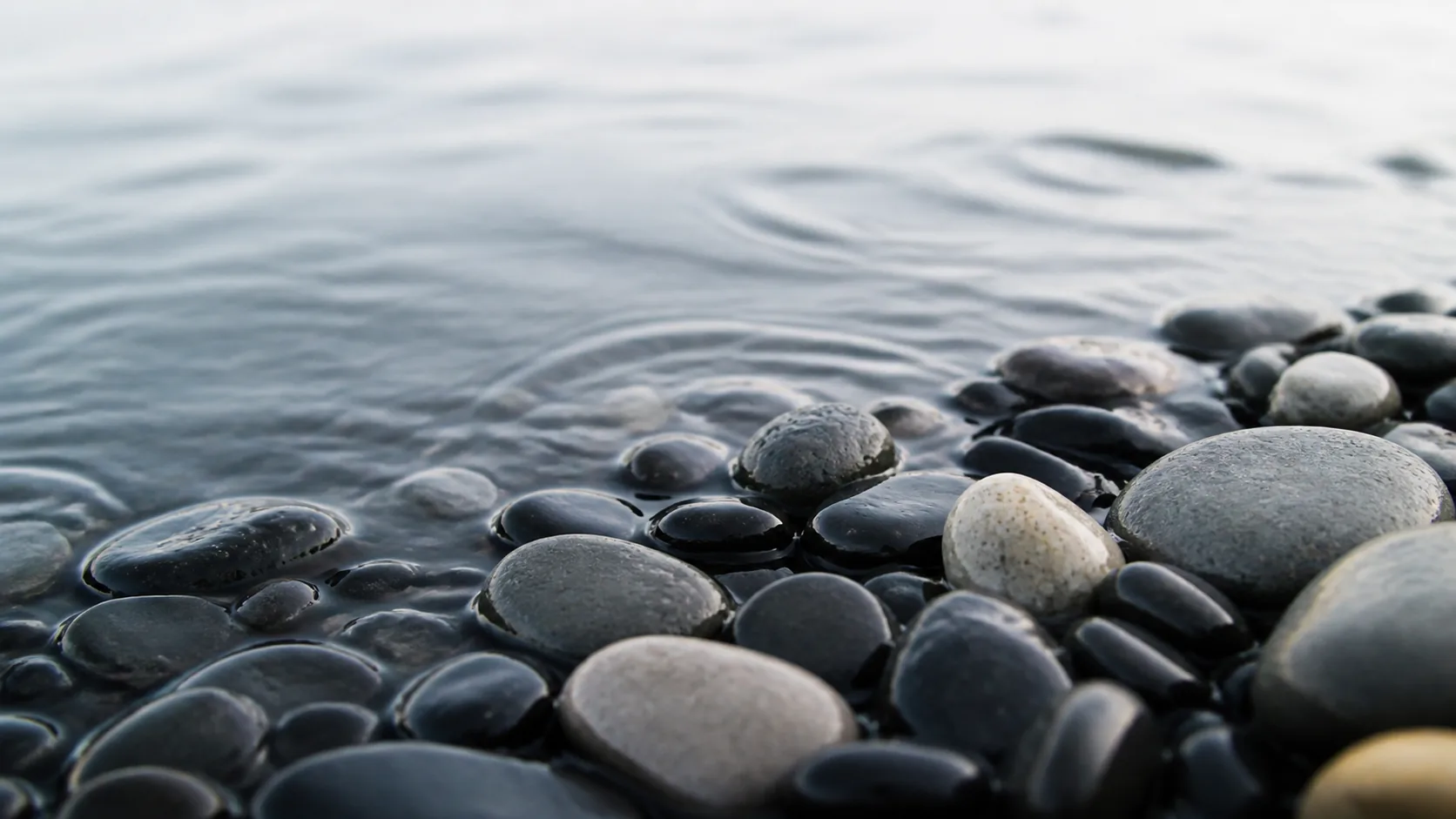 Smooth dark pebbles at the shoreline